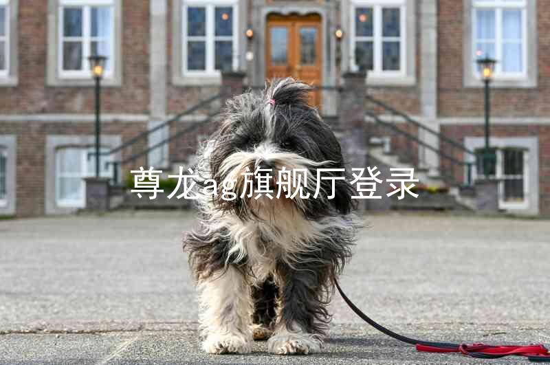 尊龙ag旗舰厅登录